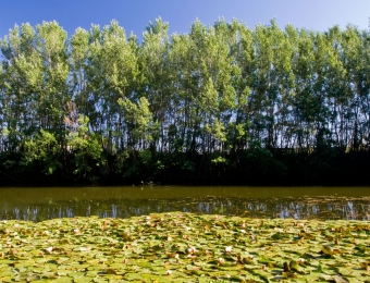 NHP_MudMap_Spring_04