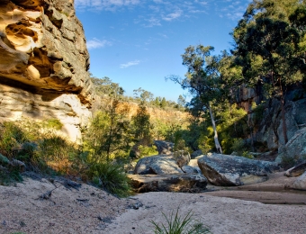 NHP_MudMap_Spring_06