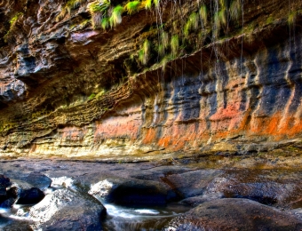 NHP_MudMap_Spring_10