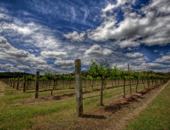 Robert Stein_031111_027